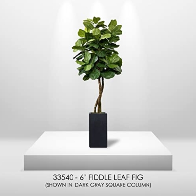Silky Flower Store Fiddle Leaf Fig Artificial Tree, Cypress & Alabaster Handmade Green Faux Tree, Real Wood Trunk, 6ft 15 15 Product: Cypress & Alabaster Handmade 6ft Fiddle Leaf Fig Ficus Lyrata Artificial Tree with Ethically Sourced Real Wood Trunks, Hypoallergenic, 6-Foot, Green