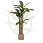 Product: Maia Shop 6ft Artificial Banana Tree Plant for House, Apartment or Office – Realistic Fake Indoor Plants for Living Room, Kitchen, Bedroom, Entryway or Bathroom – Faux Greenery for Home Décor