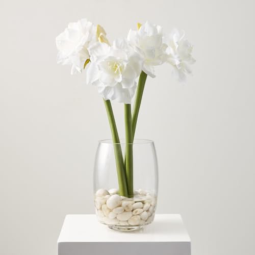 Silky Flower Store White Amaryllis Artificial Baby Breath Flowers, River Stones Vase Winter Home Decor, Office Ambience 32.5cm 1 1 Product: Delicate White Amaryllis & Artificial Baby Breath Flowers with Natural River Stones for Tranquil Winter Home Decor & Office Ambience