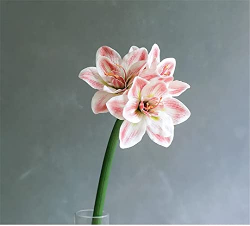 CTXDLK Artificial Flowers,Spring Decorations, Artificial Amaryllis FlowerHome Table Wedding Decoration PU Fake Flowers - Artificial Flower Arrangements Product: CTXDLK Artificial Flowers,Spring Decorations, Artificial Amaryllis FlowerHome Table Wedding Decoration PU Fake Flowers