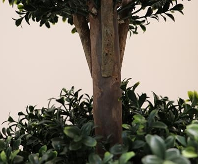 Product: BLONYUVC 3Ft-35'' Artificial Boxwood Double Ball Topiary Trees,2PACK Faux Topiaries Tree Store Garden Indoor&Outdoor for Porch Home Decor
