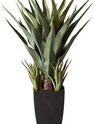 Product: Nearly Natural 30in. Agave Artificial Plant with Black Planter, Green and 48in. Dracaena Silk (Real Touch) Artificial Plant, 48", Green