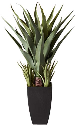 Product: Nearly Natural 30in. Agave Artificial Plant with Black Planter, Green and 48in. Dracaena Silk (Real Touch) Artificial Plant, 48", Green