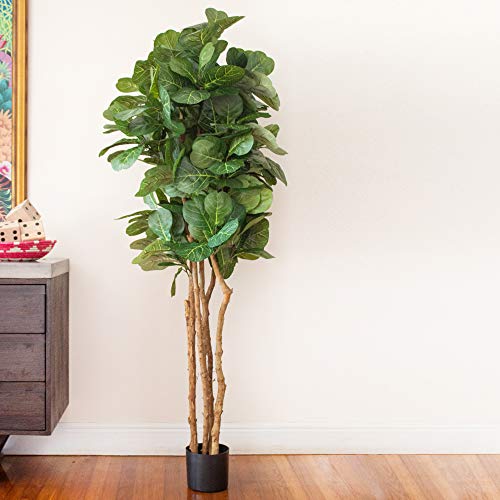 Product: Nearly Natural 6ft Fiddle Leaf Fig Artificial Tree and 5ft. Golden Cane Palm Artificial Tree | Green