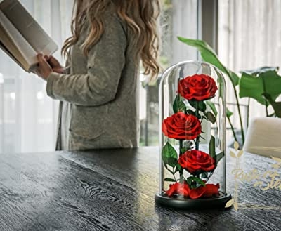 Silky Flower Store Preserved Real Rose Glass Dome, Rustic Stems Eternal Flower Gift, Luxury Decorative Floral Display 20.5cm 13 13 Product: RUSTIC STEMS Luxury Preserved Real Rose in Glass Dome - Eternal Flower Gift for Mom, Wife, Girlfriend | Perfect for Valentine's, Weddings, Birthdays & Christmas