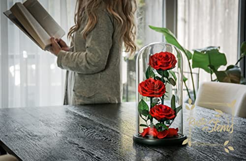 Silky Flower Store Preserved Real Rose Glass Dome, Rustic Stems Eternal Flower Gift, Luxury Decorative Floral Display 20.5cm 6 6 Product: RUSTIC STEMS Luxury Preserved Real Rose in Glass Dome - Eternal Flower Gift for Mom, Wife, Girlfriend | Perfect for Valentine's, Weddings, Birthdays & Christmas
