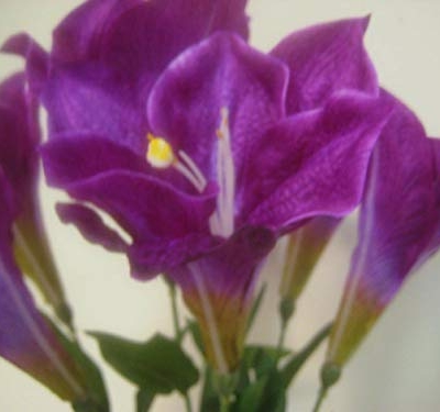 Silky Flower Store Artificial Purple Amaryllis Silk Flower Bouquet, Deluxe Faux Floral Decor, 25 Stem, 7.785pu, 25cm 5 5 Product: Purple Deluxe Amaryllis Bush Artificial Silk Flower 25" Bouquet 7-785pu Realistic Craft Art Decor Plant for Indoor Outdoor Decoration