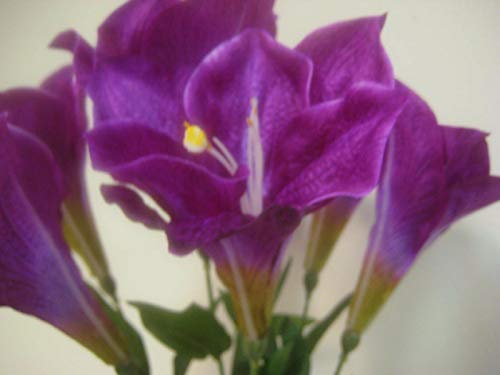 Silky Flower Store Artificial Purple Amaryllis Silk Flower Bouquet, Deluxe Faux Floral Decor, 25 Stem, 7.785pu, 25cm 2 2 Product: Purple Deluxe Amaryllis Bush Artificial Silk Flower 25" Bouquet 7-785pu Realistic Craft Art Decor Plant for Indoor Outdoor Decoration