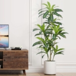 Product: ZEEOZE Dracaena Plant Artificial Tree 5Ft Tall Fake Tropical Floor Plants Potted (Real Touch) Artificial Silk Tree Leaf Faux Trees Black Tall Planter for Home Office Living Room Indoor Outdoor Decor