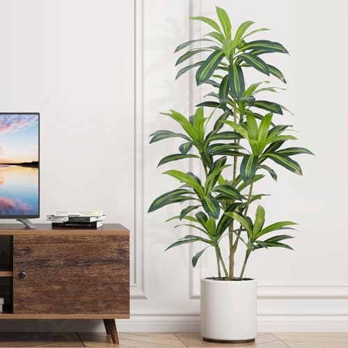 Product: ZEEOZE Dracaena Plant Artificial Tree 5Ft Tall Fake Tropical Floor Plants Potted (Real Touch) Artificial Silk Tree Leaf Faux Trees Black Tall Planter for Home Office Living Room Indoor Outdoor Decor