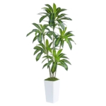 Product: Artificial Dracaena Tree Artificial Silk Tree Faux Tree Fake Tropical Yucca Floor Plant with White Tall Planter (1, White Tall Planter, 6FT)