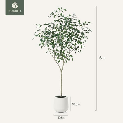 Product: OAKRED Artificial Ficus Tree, 6FT Fake Plastic Plants for Indoor, Faux Ficus Tree with White Planter, Tall Artificial Plants for Home Decor Indoor, Set of 1
