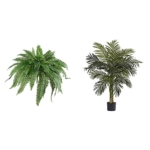 Product: Nearly Natural Potted or Hanging Artificial Boston Fern | Fake Plant, Green, 48 Inch, Set of 2 & 5357 4ft. Golden Cane Palm Tree,Green