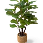 Product: GreenBoxx 35" Artificial Fiddle Leaf Fig Tree Faux Plant - Green Fake Boho Ficus Plants - 45 Leaves Large Cement Pot for Home Decor, Office, Store, Indoor/Outdoor Natural Floor Trees Fake Plant