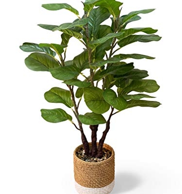Product: GreenBoxx 35" Artificial Fiddle Leaf Fig Tree Faux Plant - Green Fake Boho Ficus Plants - 45 Leaves Large Cement Pot for Home Decor, Office, Store, Indoor/Outdoor Natural Floor Trees Fake Plant