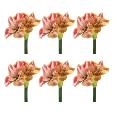 Silky Flower Store Artificial Amaryllis Flower Stem Set of 2, Yellow Pink Faux Floral Decor, Indoor Seasonal Accent 20.5cm 5 5 Product: Melrose International Amaryllis Flower Stem (Set of 2)