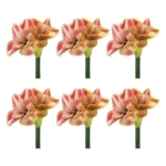 Product: Melrose International Amaryllis Flower Stem (Set of 2)