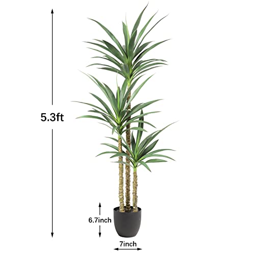 Product: Waoops Artificial Tree 5.3Ft Faux Agave Plant with 3 Heads in Plastic Pot Fake Tree for Home Decor Indoor or Outdoor Office Decoration Housewarming Gift
