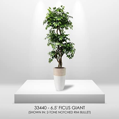 Product: Cypress & Alabaster Handmade 6.5ft 3-Tier Ficus Artificial Tree with Ethically Sourced Real Wood Trunks, Hypoallergenic, 6.5-Foot, Green