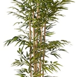Product: Nearly Natural 64in Bamboo Tree, Fake Bamboo Plants with 7 Natural Trunks, 5.3ft Tall Faux Plants for Indoor Home Decor with 1040 Realistic Fake Leaves