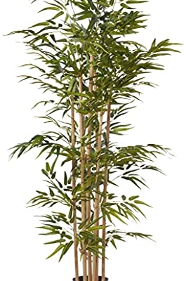 Product: Nearly Natural 64in Bamboo Tree, Fake Bamboo Plants with 7 Natural Trunks, 5.3ft Tall Faux Plants for Indoor Home Decor with 1040 Realistic Fake Leaves