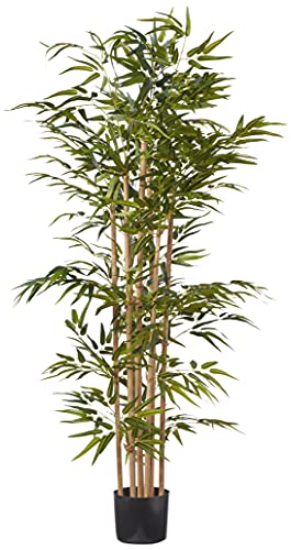 Product: Nearly Natural 64in Bamboo Tree, Fake Bamboo Plants with 7 Natural Trunks, 5.3ft Tall Faux Plants for Indoor Home Decor with 1040 Realistic Fake Leaves