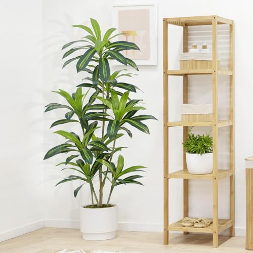 Product: ZEEOZE Dracaena Plant Artificial Tree 5Ft Tall Fake Tropical Floor Plants Potted (Real Touch) Artificial Silk Tree Leaf Faux Trees Black Tall Planter for Home Office Living Room Indoor Outdoor Decor