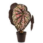 Product: VERT NOOK Painted Leaf Begonia Artificial Plant : Medium 21" H