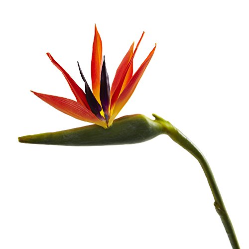Silky Flower Store Artificial Bird of Paradise Flowers, Orange Purple Silk Floral Set of 4, Indoor Outdoor Decor, 38 in. 2 2 Product: Nearly Natural 38 in. Large Bird of Paradise Artificial (Set of 4) Silk Flowers, 1x9x38, Orange
