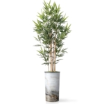 Product: Artificial Tree in Modern Granite Effect Planter, Fake Bamboo Silk Tree for Indoor and Outdoor Home Decoration - 70" Overall Tall (Plant Pot Plus Tree)