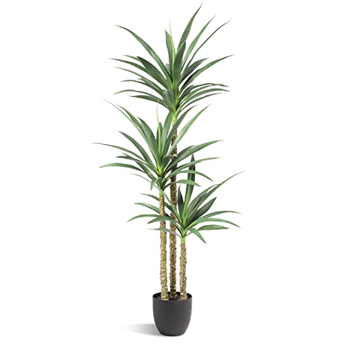 Product: Waoops Artificial Tree 5.3Ft Faux Agave Plant with 3 Heads in Plastic Pot Fake Tree for Home Decor Indoor or Outdoor Office Decoration Housewarming Gift