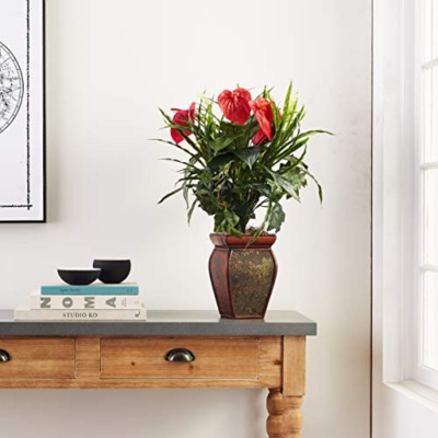 Product: Nearly Natural Mixed Greens & Anthurium with Decorative Vase Silk Plant