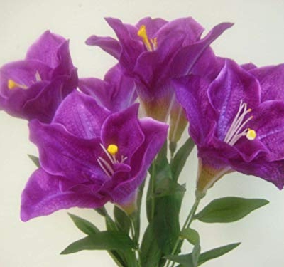 Silky Flower Store Artificial Purple Amaryllis Silk Flower Bouquet, Deluxe Faux Floral Decor, 25 Stem, 7.785pu, 25cm 4 4 Product: Purple Deluxe Amaryllis Bush Artificial Silk Flower 25" Bouquet 7-785pu Realistic Craft Art Decor Plant for Indoor Outdoor Decoration
