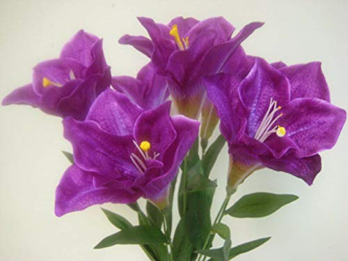 Silky Flower Store Artificial Purple Amaryllis Silk Flower Bouquet, Deluxe Faux Floral Decor, 25 Stem, 7.785pu, 25cm 1 1 Product: Purple Deluxe Amaryllis Bush Artificial Silk Flower 25" Bouquet 7-785pu Realistic Craft Art Decor Plant for Indoor Outdoor Decoration