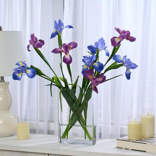 Silky Flower Store Artificial Iris Stems, Vibrant Periwinkle Purple Faux Flowers, Long Lasting Home Decor, 20.5cm 3 3 Product: Vibrant Periwinkle Artificial Iris Stems for Long-Term Home Decor | Captivating Indoor Arrangements