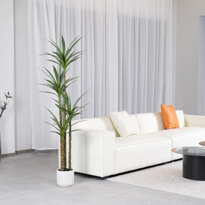 Silky Flower Store ProDeco Artificial Agave Yucca Tree, 6Ft Fake Plant 4 Heads Indoor Outdoor Floor Potted Decor, 6Ft 13 13 Product: ProDeco Artificial 6Ft Agave Yucca Trees Large Tall Fake Plants with 4 Heads Floor Silk Faux Potted Plants for Home Living Room Bedroom Office Decor Indoor Outdoor…