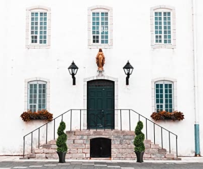 Product: 35 inch/2.95 ft Outdoor Boxwood Spiral Faux Topiary Trees, Artificial topiaries Tree with Black Pot,Set of 2