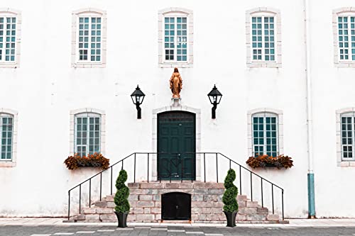 Product: 35 inch/2.95 ft Outdoor Boxwood Spiral Faux Topiary Trees, Artificial topiaries Tree with Black Pot,Set of 2