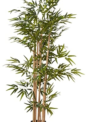 Product: Nearly Natural 64in Bamboo Tree, Fake Bamboo Plants with 7 Natural Trunks, 5.3ft Tall Faux Plants for Indoor Home Decor with 1040 Realistic Fake Leaves