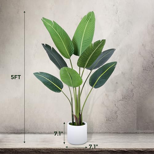 Silky Flower Store Bird of Paradise Artificial Plant, Fake Palm Tree, White Planter, Indoor Floor Decor, 5FT 4 4 Product: Jocoevol Bird of Paradise Artificial Plant, 5FT Fake Plant Palm with White Planter, Tall Artificial Floor Plants Indoor for Home Office Living Room Decor Housewarming Gift