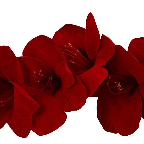 Silky Flower Store Artificial Amaryllis Silk Garland, Red Crimson Floral Mantel Decor, Nearly Natural 5ft 60H x 5W x 5D 1 1 Product: Nearly Natural 4549 5' Amaryllis Silk Garland, Red