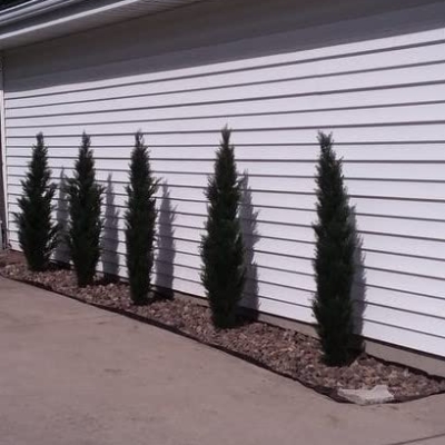 Product: Two 5 Foot Artificial Topiary Cedar Trees Potted Indoor Outdoor Plants