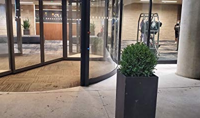 Product: 24" Tall 16” Round Artificial Topiary Ball Boxwood Trees (Set of 2) by Northwood Calliger | Highly Realistic Potted Shrubs for Indoor/Outdoor | UV Protected