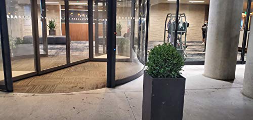 Product: 24" Tall 16” Round Artificial Topiary Ball Boxwood Trees (Set of 2) by Northwood Calliger | Highly Realistic Potted Shrubs for Indoor/Outdoor | UV Protected