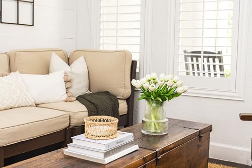 Silky Flower Store Artificial Tulip and Ribbed Glass Vase Set, 20 White Tulips Gift Arrangement, Elegant Home Décor 20cm 3 3 Product: Tulip and Vase Ribbed Glass with 20 White Tulips Artificial Flowers Gift Set Fluted Clear Flower Short Vase and Fake Tulips Look Real Entryway Living Room Table Office Shelf Decor Faux High End Gift