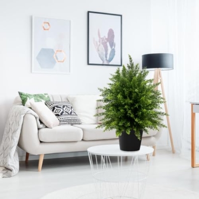 Silky Flower Store Artificial Cedar Topiary Ball Tree, Faux Potted Plants, UV Resistant Outdoor Decor, 21.5” 2Pack 13 13 Product: WAYNHUI Artificial Cedar Topiary Ball Tree, 21.5” 2pack Faux Potted Plants Artificial Shrubs Bushes with Cement Pot, Fake Evergreen Artificial Topiary for Indoor Outdoor Home Front Porch Decor