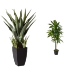 Product: Nearly Natural 30in. Agave Artificial Plant with Black Planter, Green and 48in. Dracaena Silk (Real Touch) Artificial Plant, 48", Green