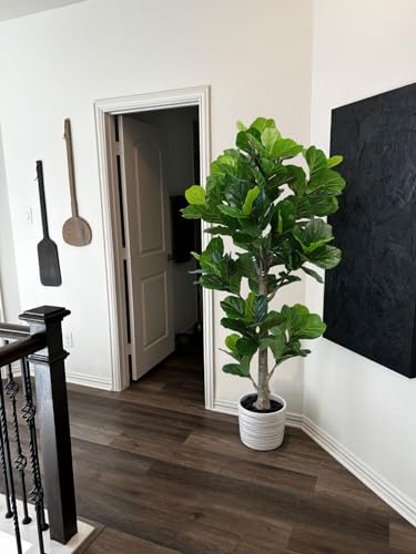 Product: Aveyas 6ft Artificial Fiddle Leaf Fig Tree for Home Decor, 6 Feet Large Faux Plant Fake Ficus lyrata Silk Trees with Pot for Indoor Outdoor House Living Room Office (6 ft Tall)