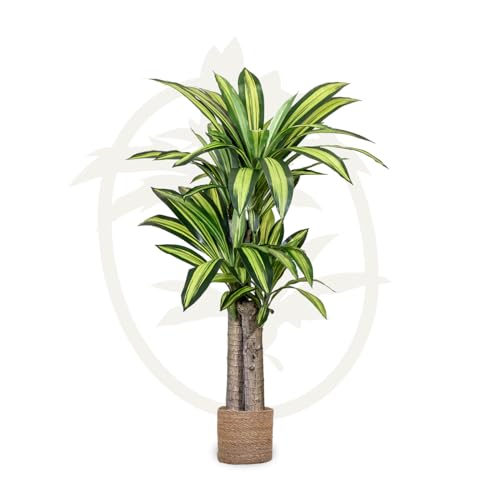 Product: Maia Shop 3.9ft Dracaena Artificial Plant, Fake Plants for Home Decor, Artificial Plants Indoor