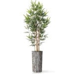 Product: Artificial Tree in Black and Brown Striped Planter, Fake Bamboo Silk Tree for Indoor and Outdoor Home Decoration - 70" Overall Tall (Plant Pot Plus Tree)